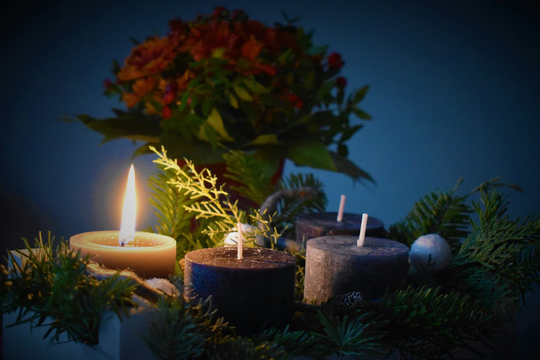 Svijeće i sezonsko cvijeće u adventskom aranžmanu